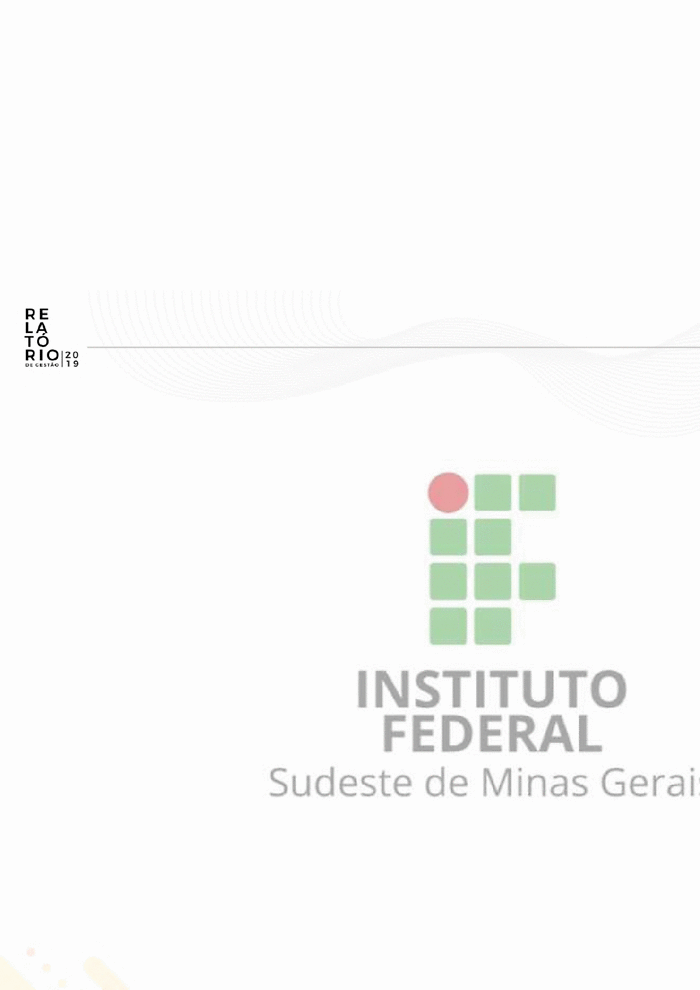 Relatório de Gestão 2019 by Instituto Federal do Rio de Janeiro