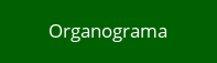 Organograma