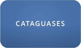 _cataguases.png