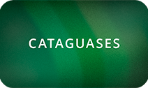 _cataguases.png