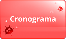 cronograma-hover.png