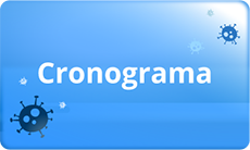 cronograma.png
