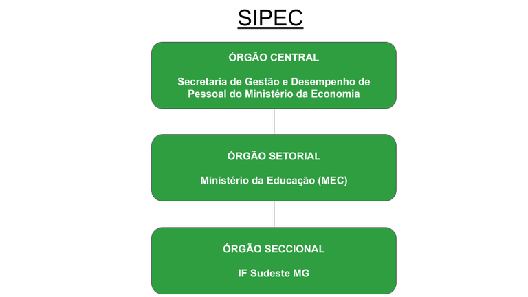Organograma_SIPEC.png