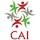 Logo CAI.jpg