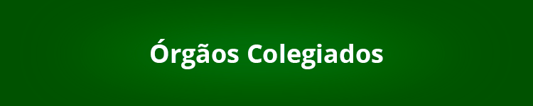 orgaos-colegiados.png