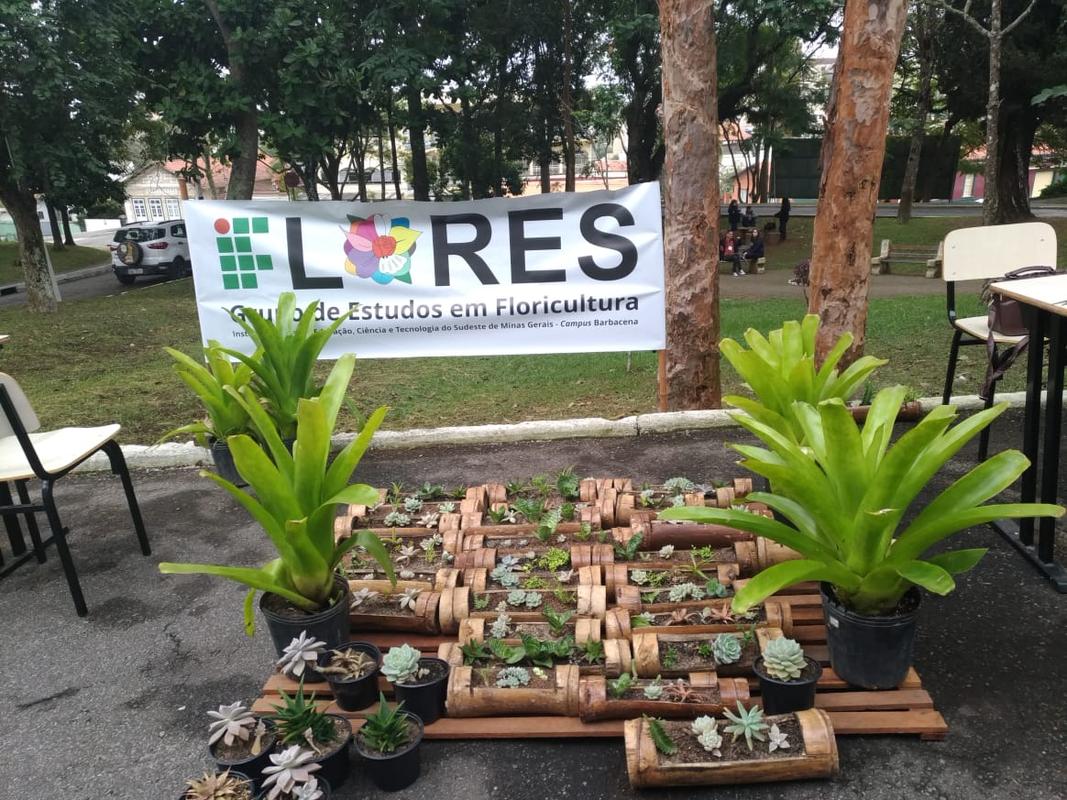 iflores.jpg
