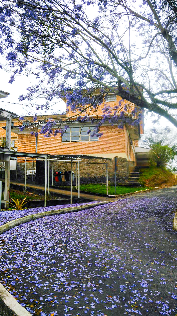 Jardim do Campus Barbacena
