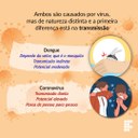 Diferença entre dengue e coronavírus