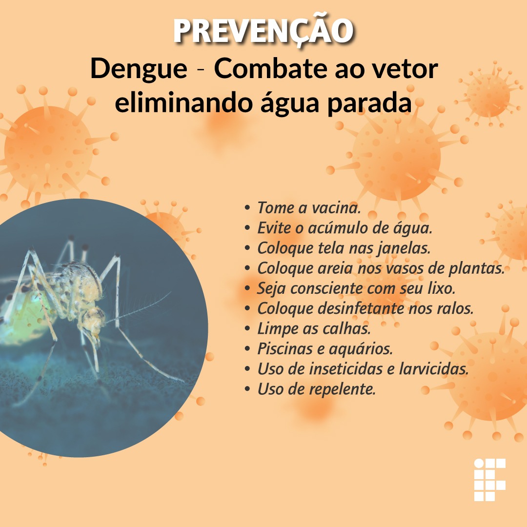 Eliminando a Dengue