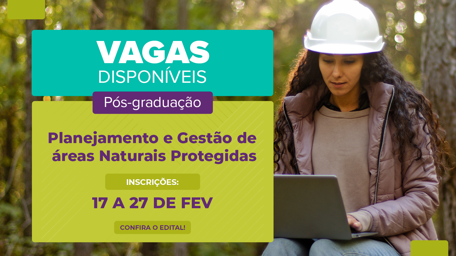 divulgação