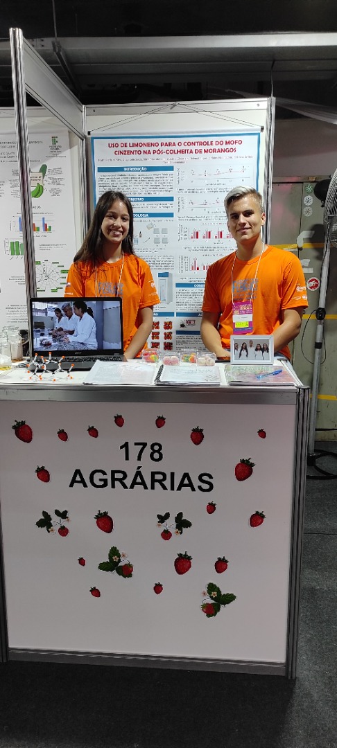 Stand1.jpg