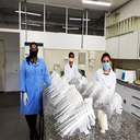 três pessoas atuando na produção de protetores faciais