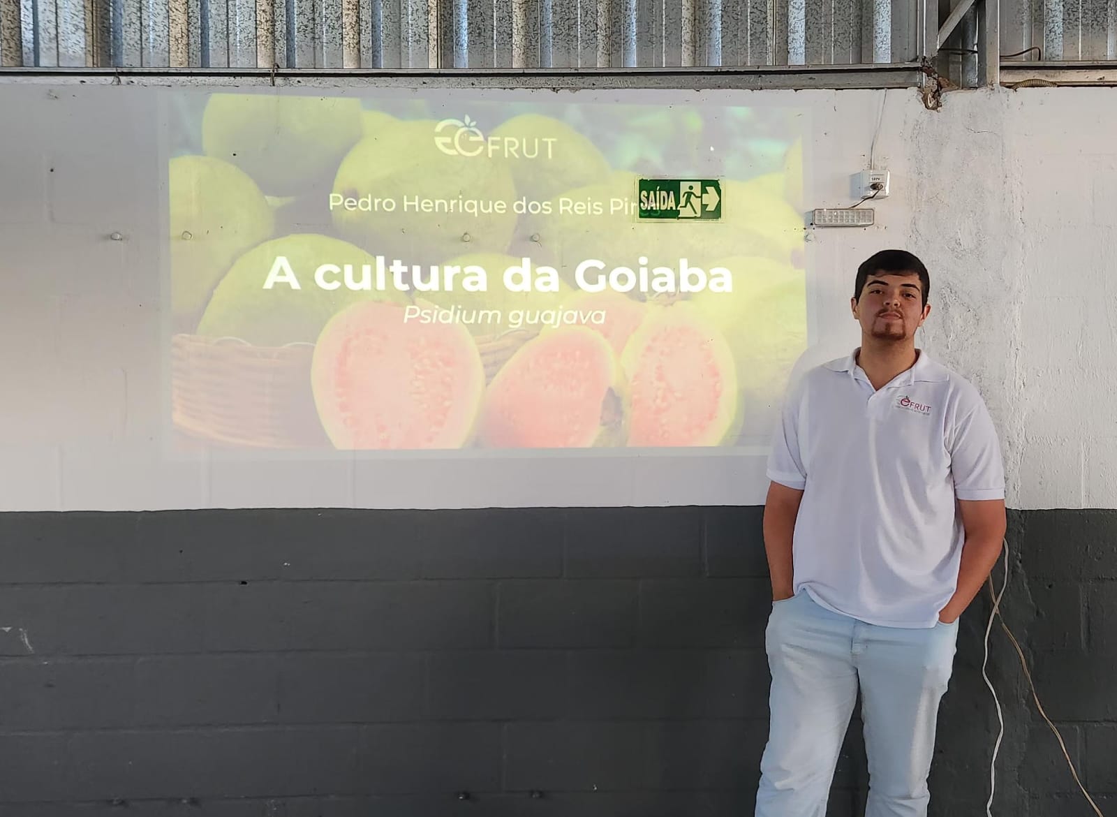 divulgação