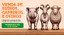 banner-edital.png