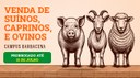 banner-edital.png