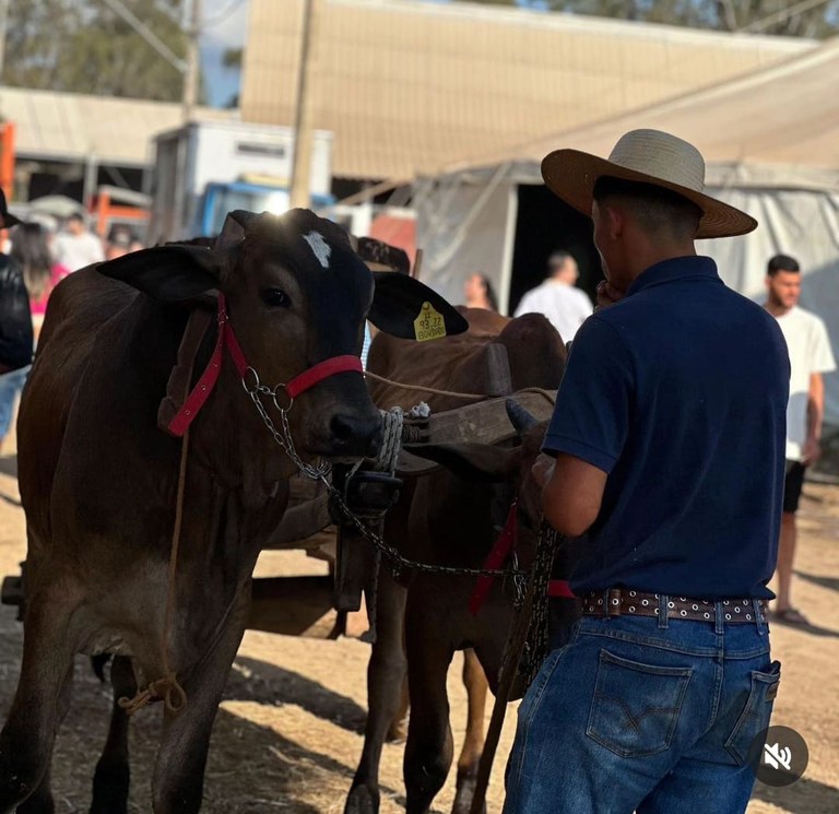 Aluno estagiário técnico em agropecuária Ruan e o carro de boi para passeio das crianças visitantes.jpeg