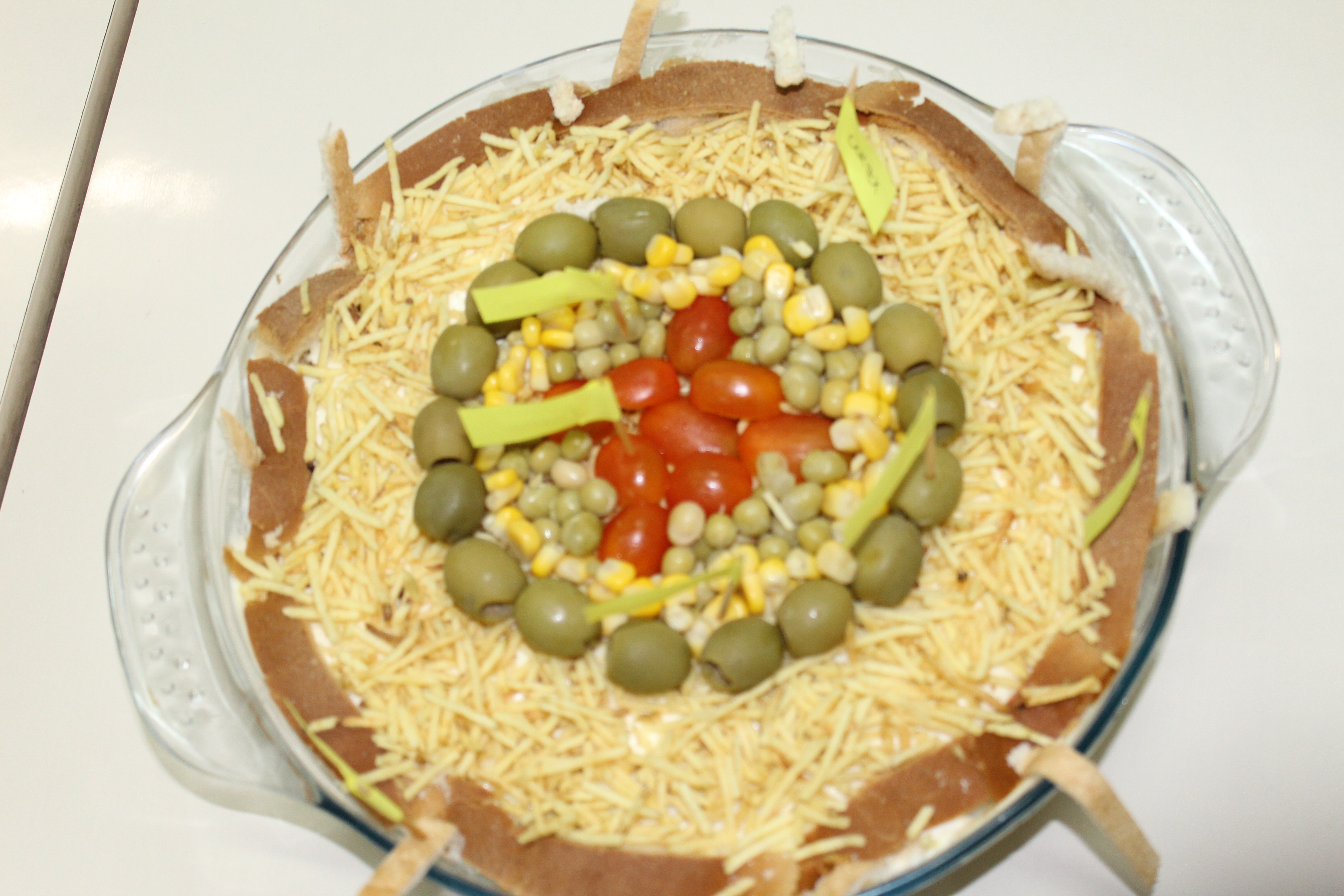 Raiz de dicotiledônea - torta de pão de forma