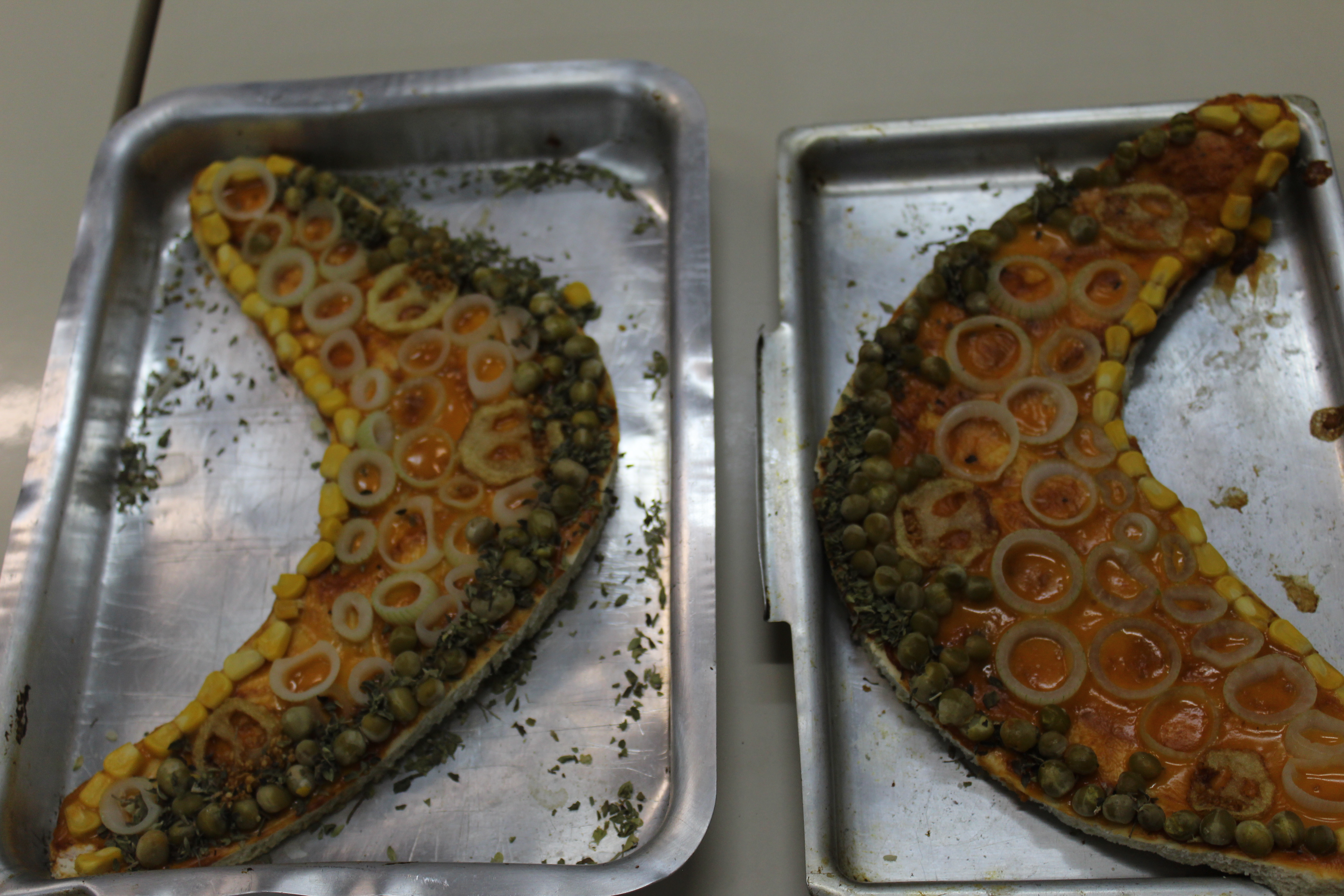 Folha de monocotiledônea - pizza