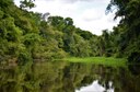 Parque Nacional de Mapinguari - Amazonas