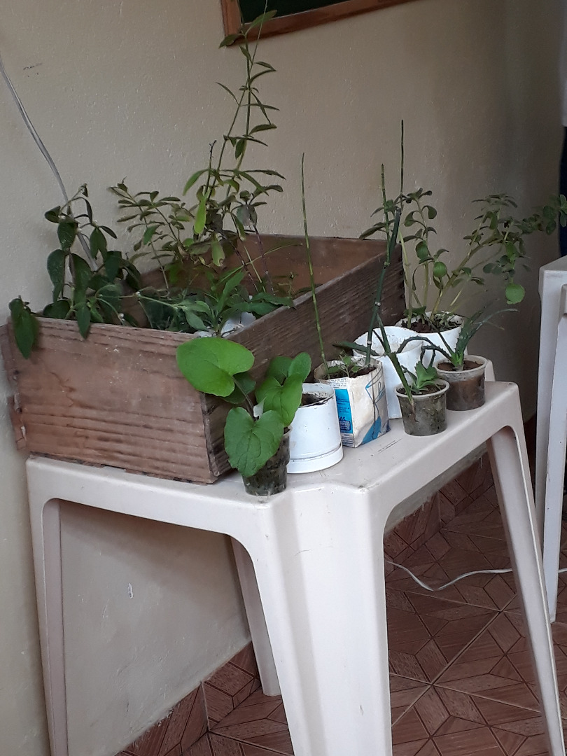 Ubá-projeto-extensão-4.jpg