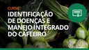 Curso Identificação de Doenças e Manejo Integrado