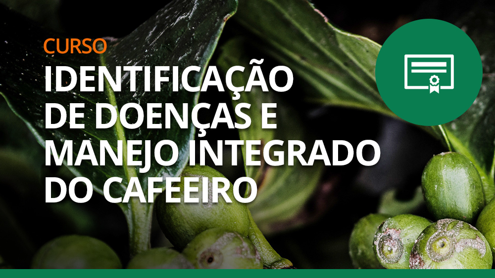 Curso Identificação de Doenças e Manejo Integrado