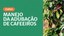 Manejo da Adubação do Cafeeiro - Miniatura.jpg