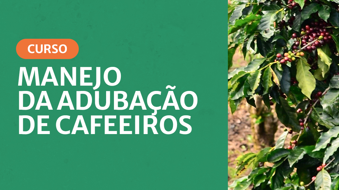 Manejo da Adubação do Cafeeiro - Miniatura.jpg