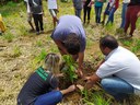 #Pratodosverem: Alunos plantam muda.
