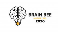 #Pratodosverem: imagem com fundo branco. Na metade esquerda um desenho semelhante a um cérebro partindo de uma abelha. Na metade direita, a expressão "BRAIN BEE Muriaé MG 2020". Letras e desenhos em preto, com detalhes amarelos.