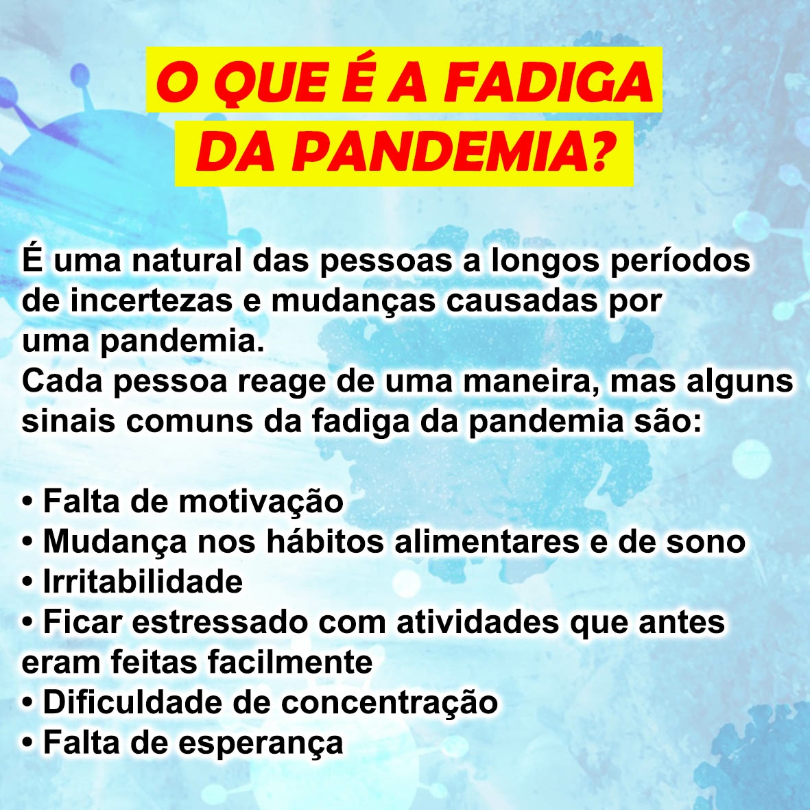 Layout 01