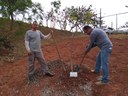 #Pratodosverem: Plantio da árvore no Campus São João del-Rei.