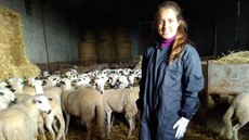 #Pratodosverem: Estudante Ana Carolina realiza trabalho de campo com caprinos.