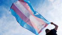 bandeira dia visibilidade trans - ilustração