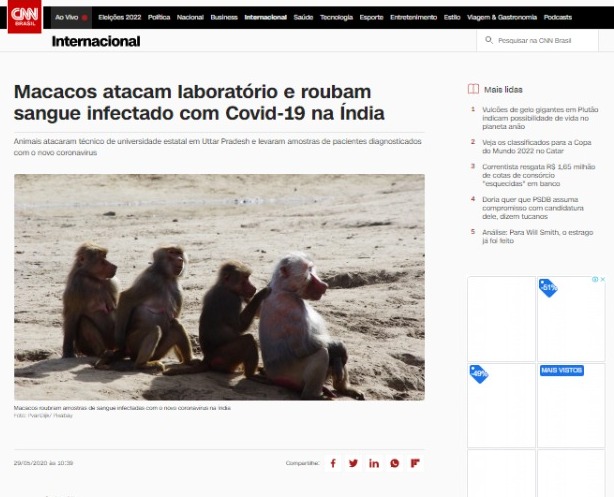 4 - Macacos atacam laboratório