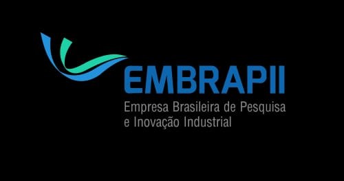 embrapii-site.jpeg