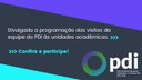 Visitas PDI