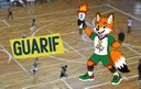 GuarIF é escolhido como novo mascote oficial dos Jogos das Instituições Federais (JIF)