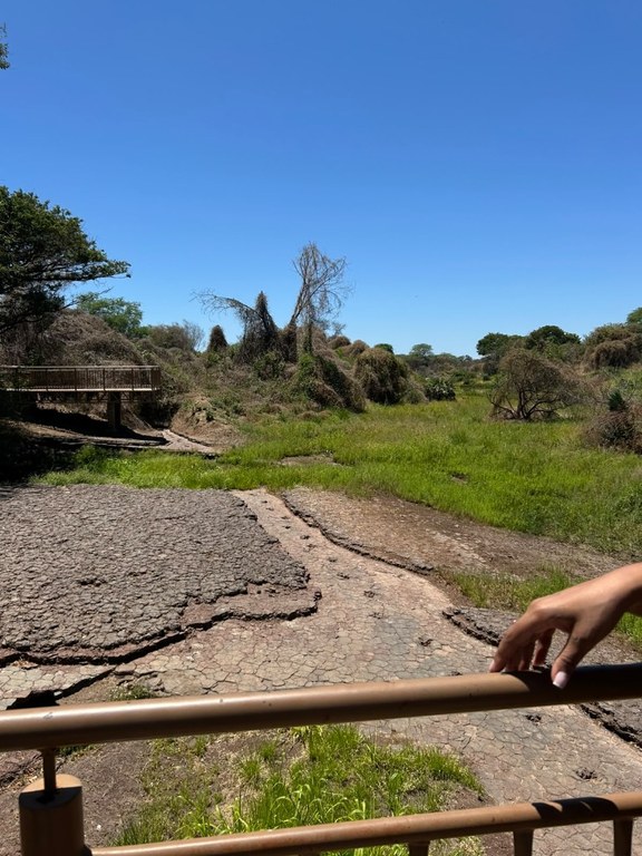 Imersão 06 / Vale dos Dinossauros – registro do percurso e da vivência territorial