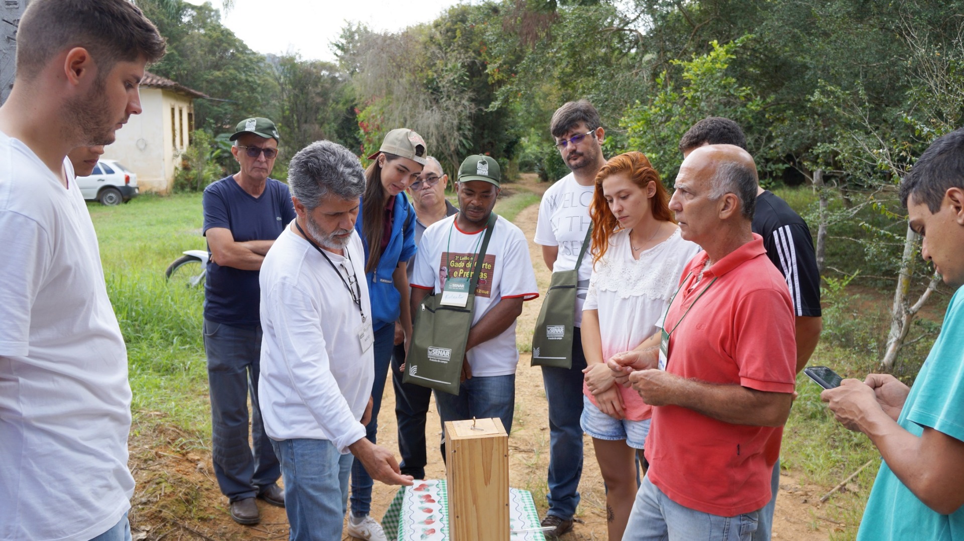 Curso meliponicultura 3