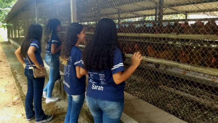 Mostra de Cursos e Profissões