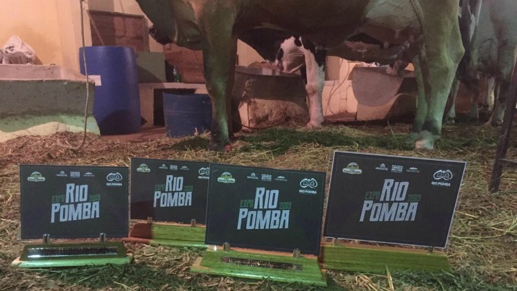 Exposição Agropecuária