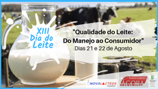 A base da arte é uma foto desfocada com imagem de vacas em um pasto. Em primeiro plano, uma jarra e um copo com leite. Por cima da imagem, à esquerda e em azul claro, o título "XIII Dia do Leite". À direita, o tema e a data do evento. Abaixo e à direita, as logos dos organizadores e do IF.