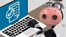 Um desenho de uma vaca de óculos, sentada em frente a um computador.