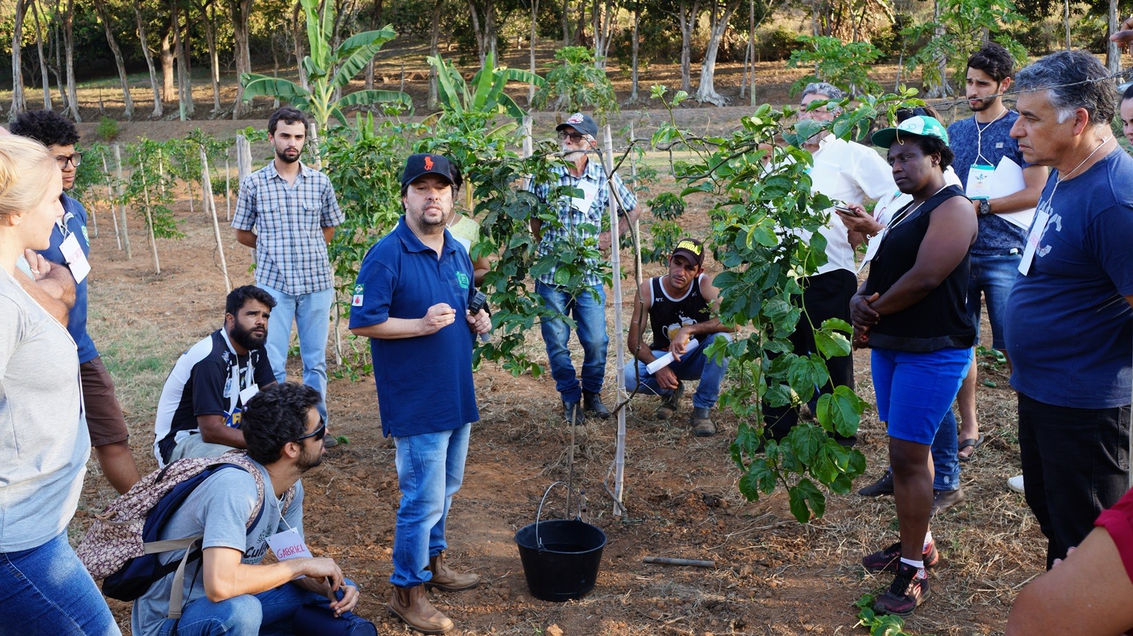 Dia de Campo - maracujá