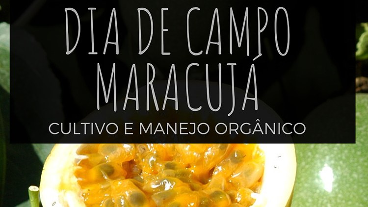 Logo Dia de Campo - Maracujá