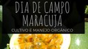 Logo Dia de Campo - Maracujá