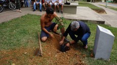#Pratodosverem: o diretor João Batista Lúcio Corrêa e um aluno fazem o plantio da árvore. Eles estão agachados com ao lado da cova em que a planta está sendo colocada. Ao lado do estudante, há uma enxada.