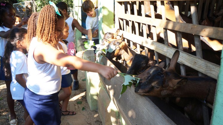 Visita Escola Municipal São José #Pratodosverem: Alunos da Escola Municipal São José alimentam os cabritos.