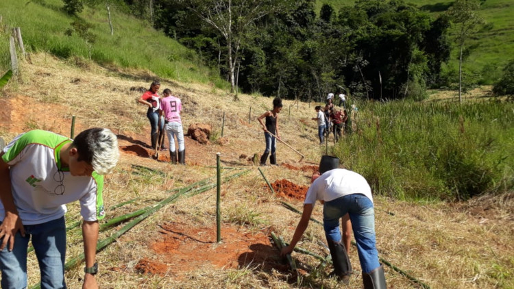 Atividade Meio Ambiente